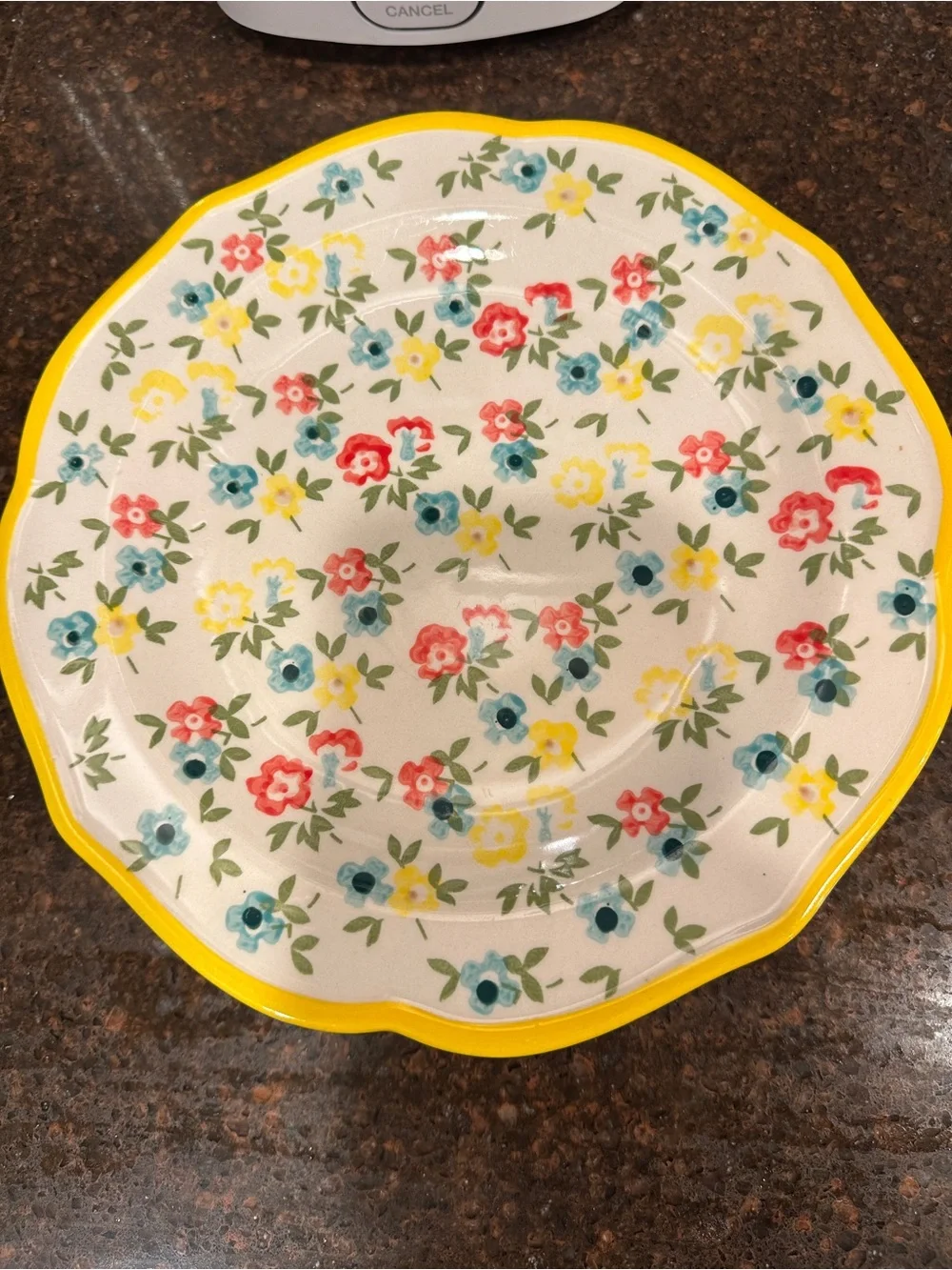 Pioneer Woman Floral & Polka Dot Party Plates - Red,Yellow set of 4 salad plates